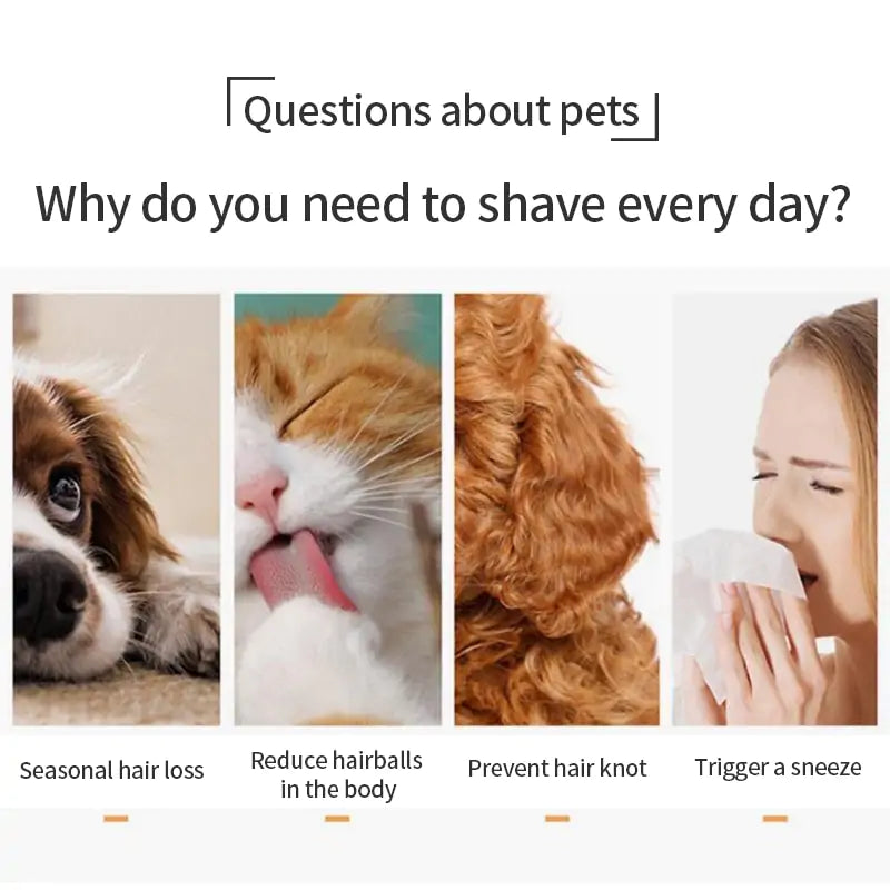 Cat Soft Grooming Brush