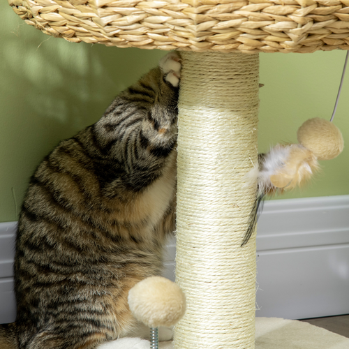 51cm Cat Tree Kitty Activity Centre w/ Top Bed, Toy Ball, Sisal Scratching Post