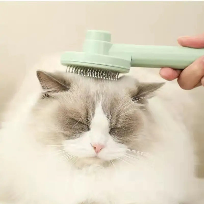 Cat Soft Grooming Brush